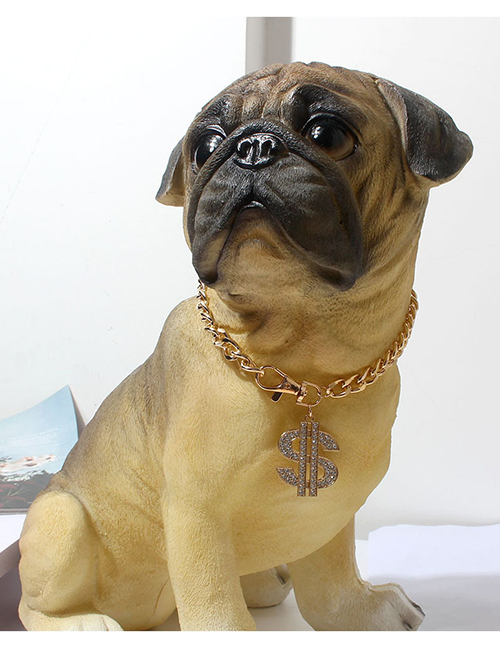 Collar Para Mascotas Con Cadena De Símbolo De Dólar De Diamantes De Aleación