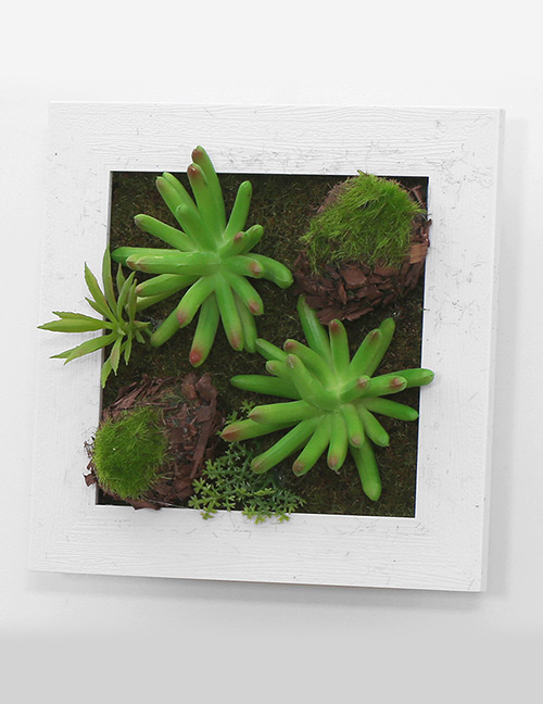 Fashion Light Green Succulent Plants Decorated Wall Hanging