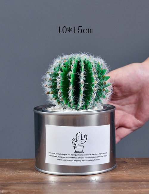 Lovely Green Artificial Cactus Decorated Ornaments