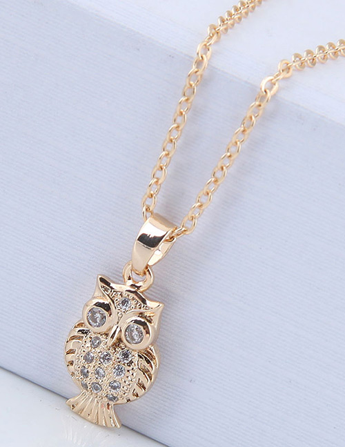 Elegant Gold Color Owl Pendant Decorated Necklace