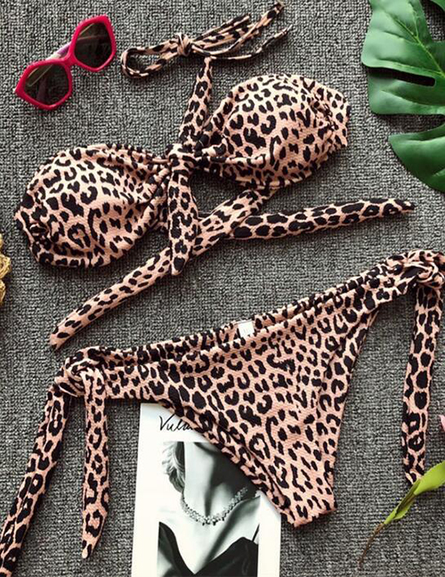Fashion Leopard Dot Printed Split Swimsuit