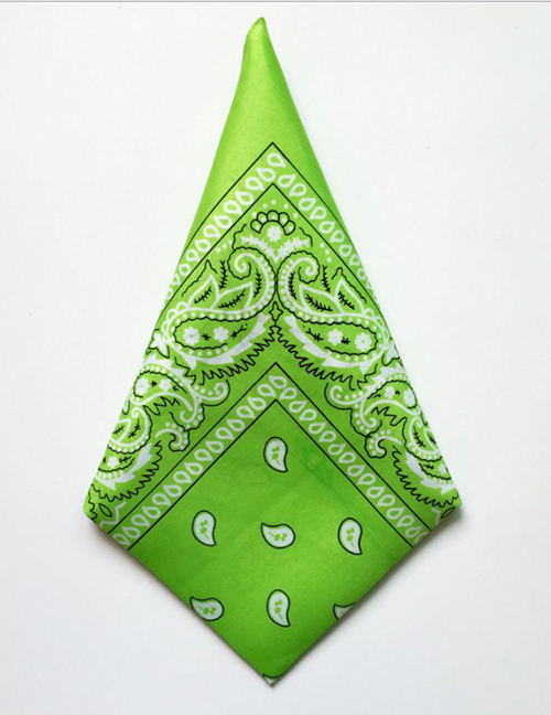 Fashion Fruit Green Cashew Flower Print Scarf Scarf