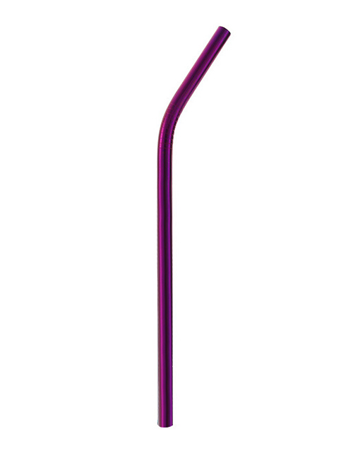 Fashion Purple Elbow (21.5*0.8) 304 Stainless Steel Straws (10)
