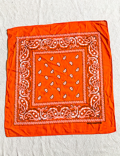 Fashion Orange Border Cashew Print Scarf