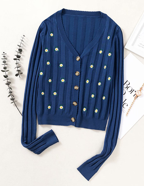 Fashion Blue Embroidered Hollow Embroidery Sweater Sweater