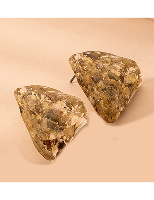 Fashion Golden Gold Foil Dried Flower Resin Geometric Earrings