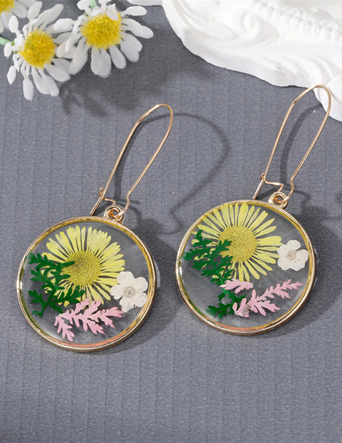 Fashion Yellow Transparent Preserved Flower Earrings