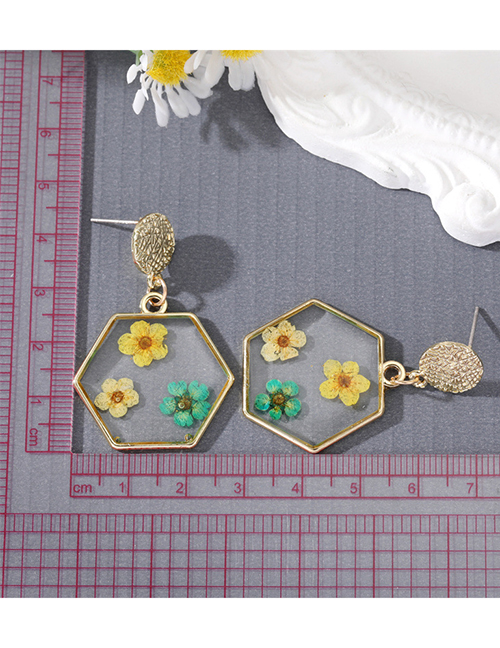 Fashion Yellow Green Leaves Resin Hexagon Preserved Flower Stud Earrings
