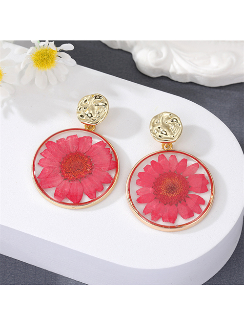 Fashion Red Transparent Dried Flower Round Stud Earrings