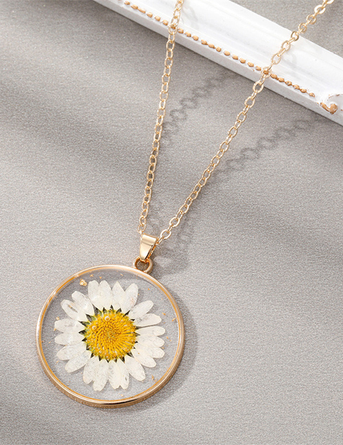 Fashion White Daisies 4 Resin Preserved Flower Round Necklace