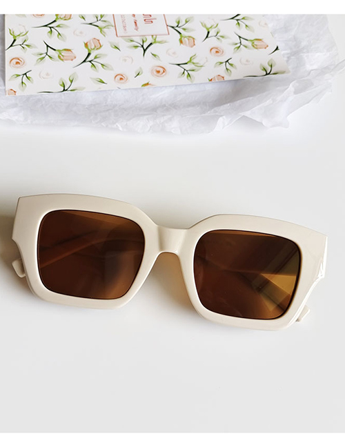 Fashion Beige Pc Frame Sunglasses