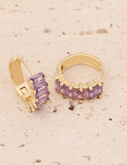 Fashion 8# Purple Brass Inset Zirconium Round Earrings