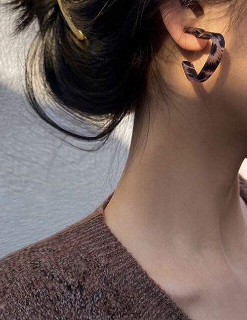 Fashion Leopard Leopard Print Acrylic Geometric Earrings
