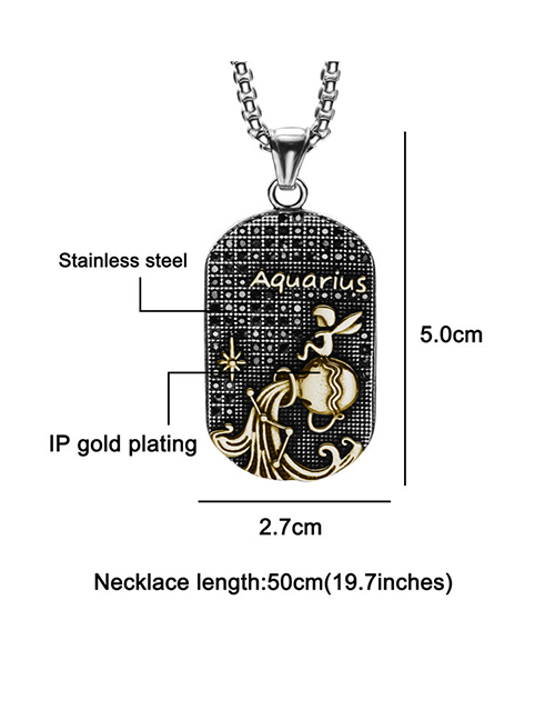 Fashion Golden Aquarius (with Picture Chain) Stainless Steel Ancient Greek Zodiac Black Diamond Necklace