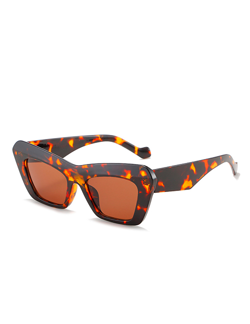 Fashion Leopard Frame Tea Slices Triangle Cat Eye Sunglasses