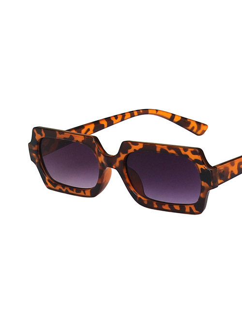 Fashion Leopard Dual Gray Resin Small Frame Square Sunglasses
