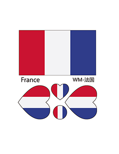 Fashion France Environmental Protection World Flag Face Tattoo Stickers Waterproof
