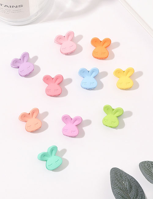 Fashion Scrub Rabbits (10) Plastic Scrub Rabbit Grip Set
