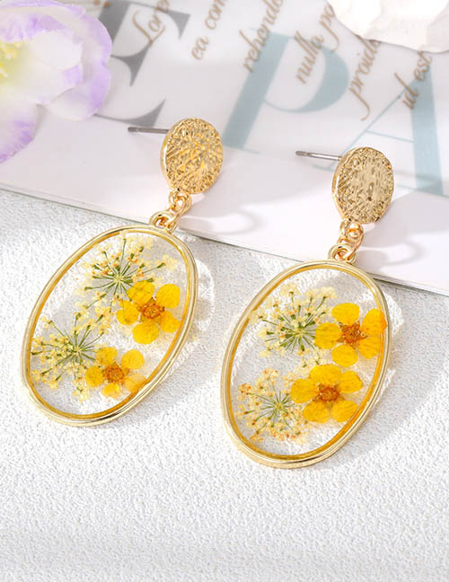 Fashion Yellow Flower Earrings Alloy Geometric Dried Flower Oval Stud Earrings