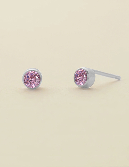 Fashion February Violet - Steel Titanium Gold Plated Diamond Round Stud Earrings