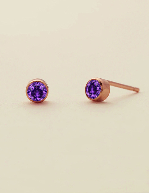Fashion February Violet - Gold Titanium Gold Plated Diamond Round Stud Earrings