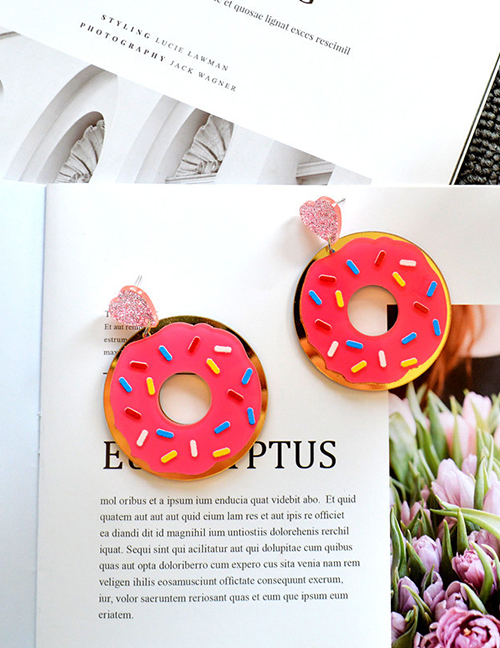 Fashion Donut Acrylic Donut Earrings