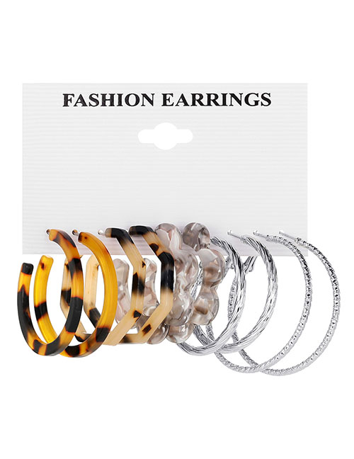 Fashion 3# Alloy Geometric Leopard Floral C Earring Set