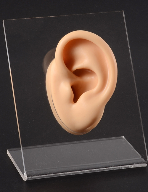 Fashion Flesh Color Left Ear Silicone Ear Display Model