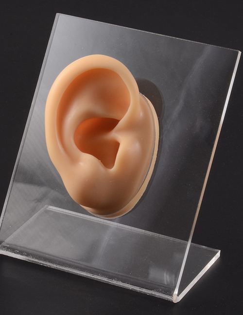 Fashion Flesh Color Right Ear Silicone Ear Display Model