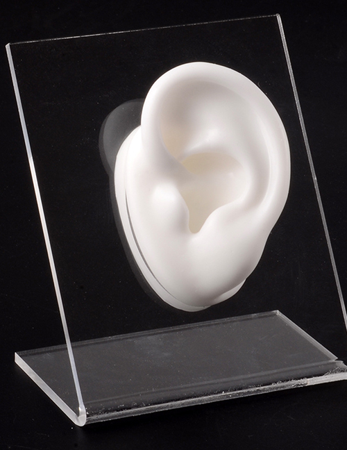 Fashion White Left Ear Silicone Ear Display Model