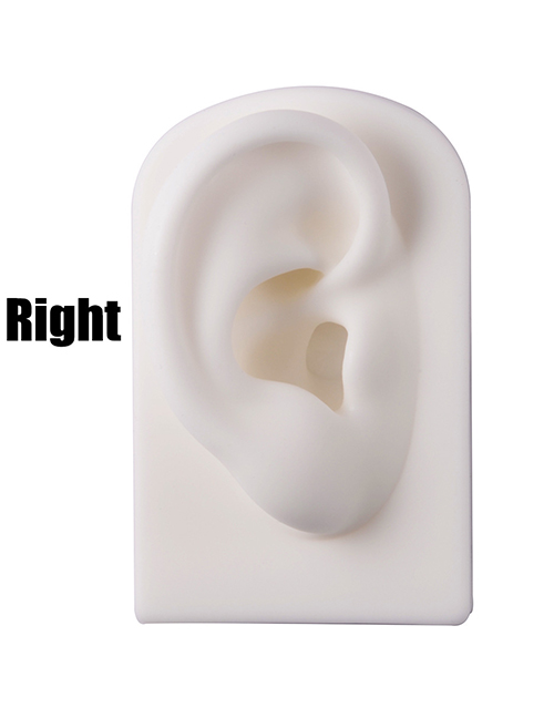 Fashion White Right Ear Silicone Ear Display Model