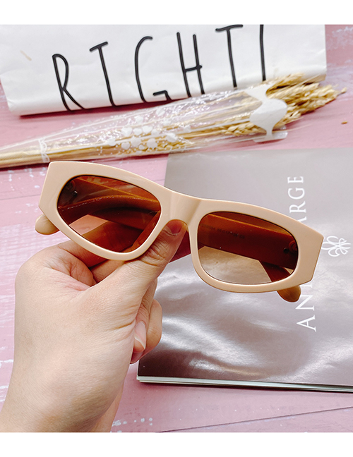 Fashion Khaki Pc Irregular Sunglasses
