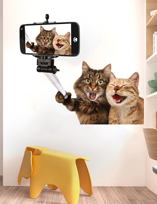 Fashion 30*30cm Self Adhesive Simulation Cat Wall Sticker