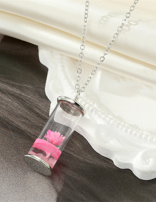 Fashion Pink Geometric Daisy Wishing Bottle Necklace