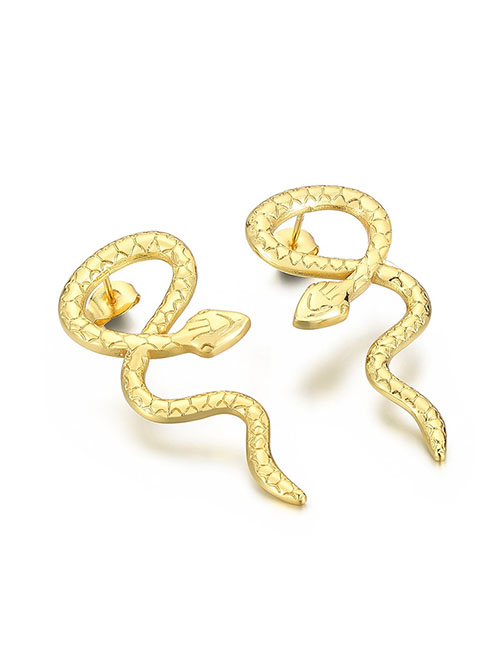 Fashion 3# Titanium Geometric Snake Stud Earrings