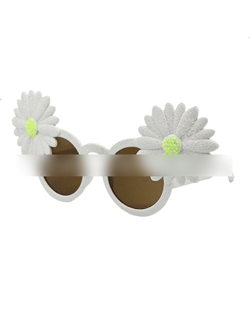 Fashion Two Chrysanthemums Abs Daisy Sunglasses