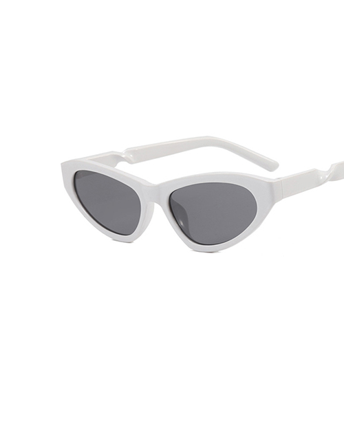 Fashion Solid White Ash Pc Cat Eye Small Frame Sunglasses