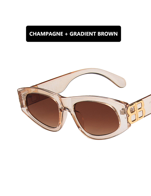 Fashion Champagne Double Tea Resin Small Frame Uv Protection Sunglasses