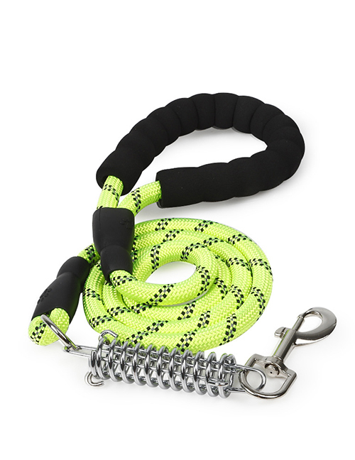 Fashion With Spring - Green Reflective Tape Spring Pet Leash