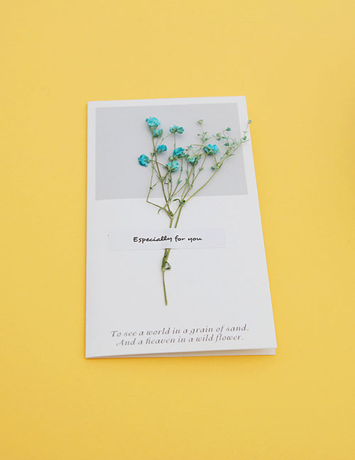 Fashion Starry Blue Geometric Dried Flowers Greeting Card