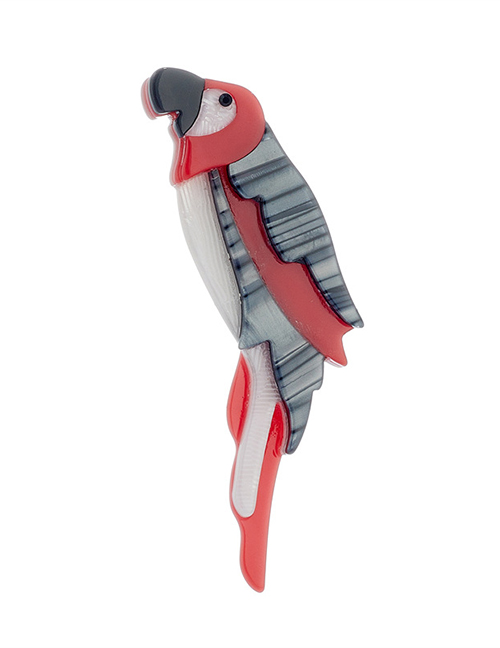 Fashion Parrot Cartoon 3d Acrylic Parrot Brooch  Acrylic