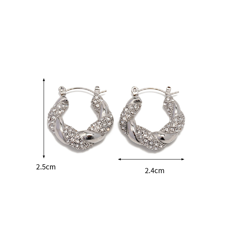 Fashion Silver Stainless Steel Zirconium Twist Round Earrings