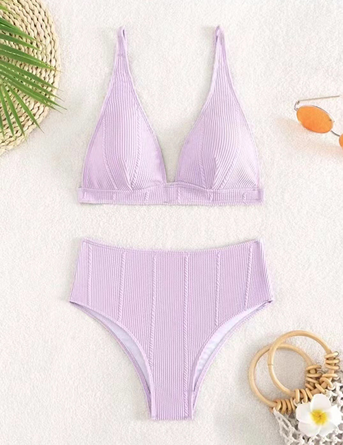 Fashion Lavender Nylon V-neck High Waist Two-piece Swimsuit