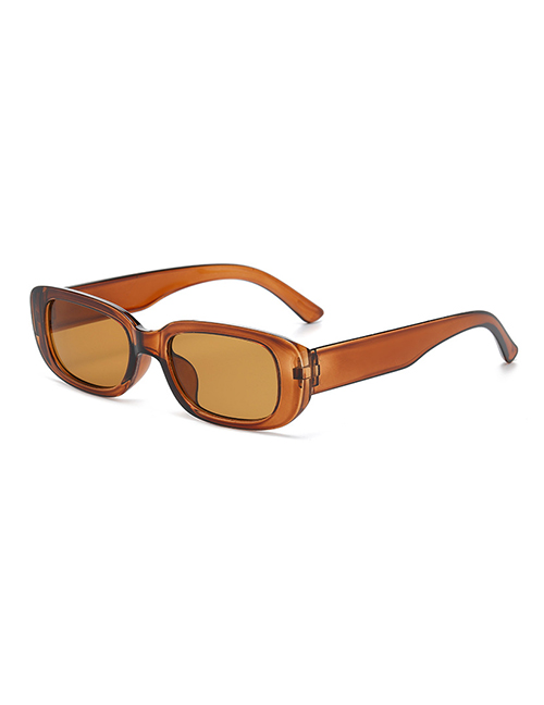 Fashion Brown Small Resin Square Sunglasses