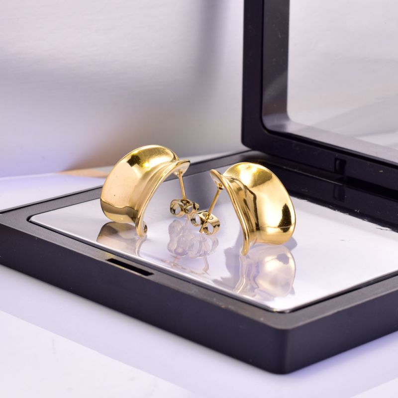 Fashion Gold Titanium Steel Geometric Curved Earrings