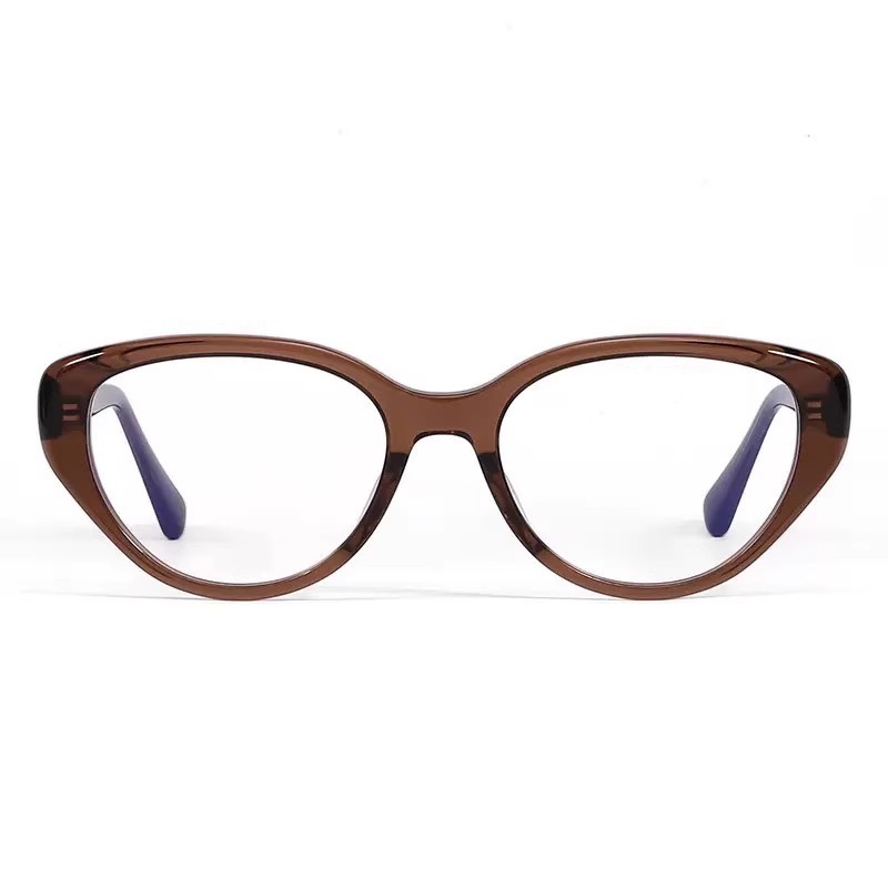 Fashion Brown Pc Cat Eye Large Frame Sunglasses