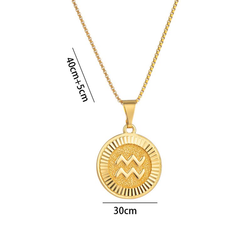 Fashion Aquarius Stainless Steel Zodiac Round Necklace