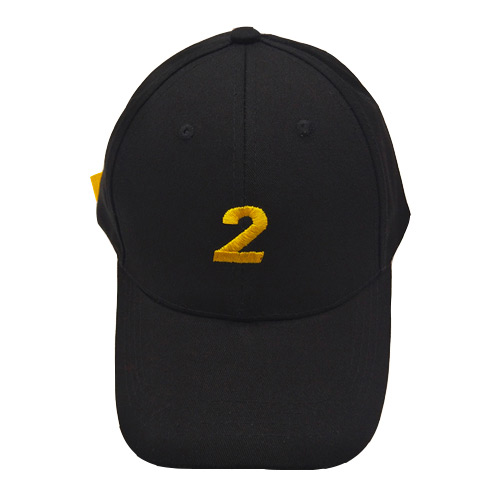 Fashion Black Number 2 Pettern Decorated Simple Hat