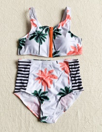 Fashion Color Printed Zip Split Swimsuit