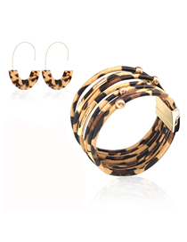 Fashion Combination 9 Leopard Print Resin Geometric Print Earrings Bracelet Necklace